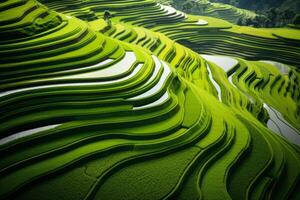 AI generated Aerial shot capturing the mesmerizing patterns of terraced paddy fields. Generative AI photo