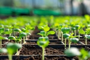 AI generated Efficient Agricultural technologies. Generate Ai photo