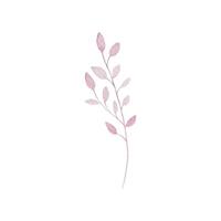 Light pink watercolor branch with leaves vector