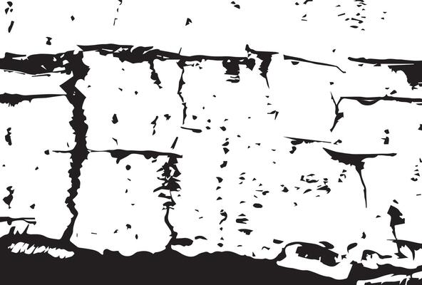 black and white birch bark grunge texture background.
