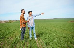 el concepto de internacional relaciones en agrario negocio. indio y europeo agricultores estar en un campo de verde trigo foto