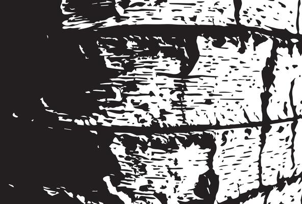 black and white birch bark grunge texture background.