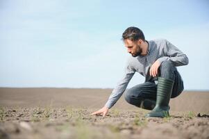 masculino manos conmovedor suelo en el campo. experto mano de granjero comprobación suelo salud antes de crecimiento un semilla de vegetal o planta planta de semillero. negocio o ecología concepto. foto