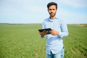 worry less ,indian farmer standing in his healthy wheat field photo