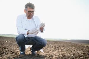 pruebas suelo. agrónomo. ambiental proteccion, orgánico suelo Certificación, suelo Fertilidad análisis foto