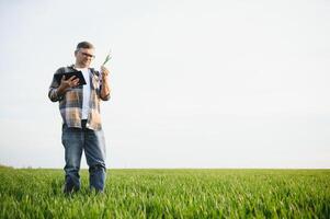 un joven granjero inspecciona el calidad de trigo coles en el campo. el concepto de agricultura. foto