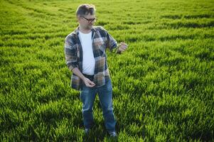 retrato de mayor granjero agrónomo en trigo campo. exitoso orgánico comida producción y cultivo. foto