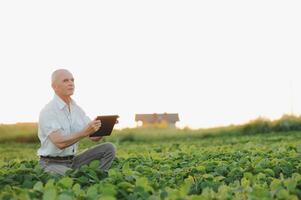 Agronomist inspecting soya bean crops growing in the farm field. Agriculture production concept. young agronomist examines soybean crop on field in summer. Farmer on soybean field photo
