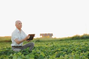 agrónomo inspeccionando soja frijol cultivos creciente en el granja campo. agricultura producción concepto. joven agrónomo examina haba de soja cosecha en campo en verano. granjero en haba de soja campo foto