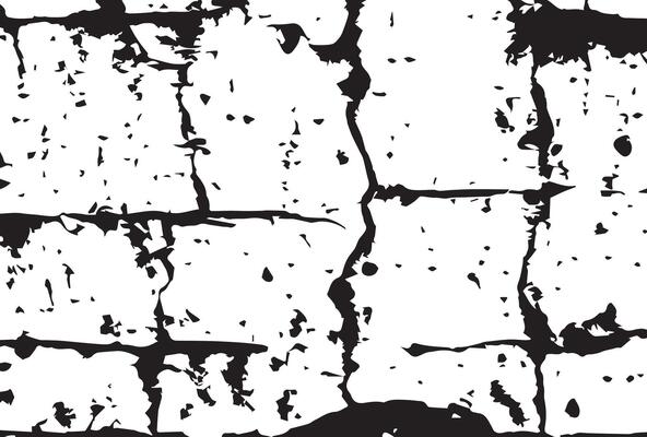 black and white birch bark grunge texture background.