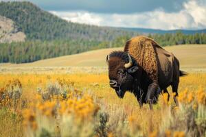 ai generado americano bisonte. generar ai foto