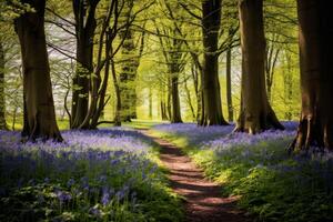 AI generated Tranquil woodland with a carpet of bluebells in bloom. Generative AI photo