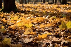 AI generated Leaves covering the ground in a forest glade. Generative AI photo