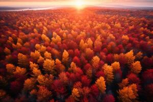 AI generated A breathtaking aerial view of a forest ablaze with vibrant hues of red, orange, and gold, capturing the magic of autumn foliage. Generative AI photo