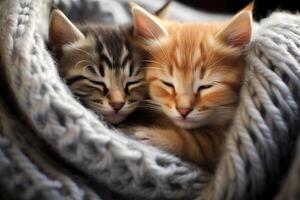 AI generated Twin kittens cuddling on a cozy blanket. Generative AI photo