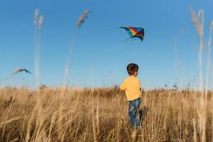 pequeño chico jugando con cometa en prado. infancia concepto foto