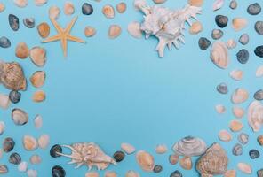 Flat lay. Top view. Frame of shells of various kinds on a blue background. Seashells and starfish on a pastel background. Vacation concept. travel concept. with copy space photo