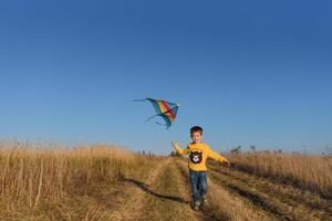 contento niño jugando con un cometa mientras corriendo en prado, atardecer, en verano día. gracioso hora con familia. pequeño chico lanzamiento un cometa. foto