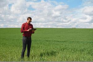 Portrait of farmer standing in young wheat field holding tablet in his hands and examining crop. photo