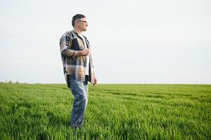 A young farmer inspects the quality of wheat sprouts in the field. The concept of agriculture. photo