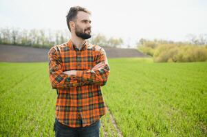 A young farmer inspects the quality of wheat sprouts in the field. The concept of agriculture photo