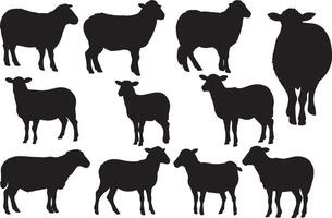 Set of a Sheep silhouette vector