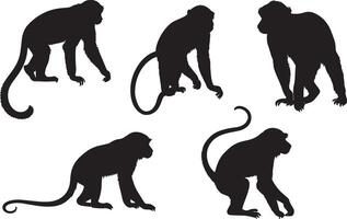 set of a monkey silhouette vector illustration