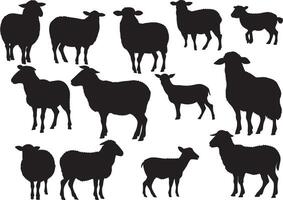 Set of a Sheep silhouette vector