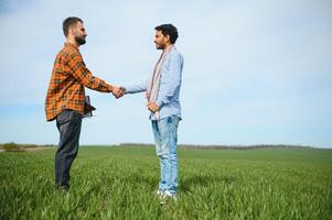 Indian and European farmers stand in a field of green wheat photo