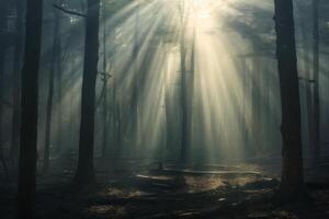 AI generated A scenic view of light streaming through misty forests, creating a dreamlike atmosphere. Generative AI photo