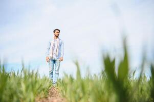 Portrait of young Indian Farmer wearing formal dress in green paddy field. photo