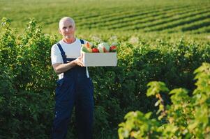 Man with wooden box of vegetables in field. Farming photo