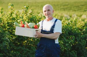 Man with wooden box of vegetables in field. Farming photo