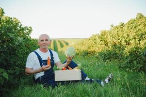 Man with wooden box of vegetables in field. Farming photo