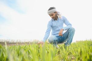 Indian farmer on agricultural field photo