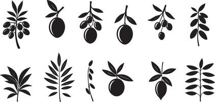 Olive branches with long leaves vector collection. Set of black silhouettes leaves and tree branches. Hand drawn foliage, herbs, tree twig. Vector ink elements isolated on white background.