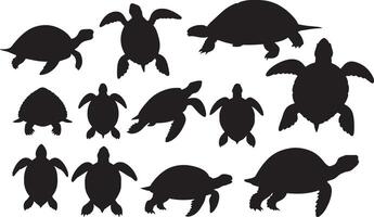 Set of a turtle silhouette vector