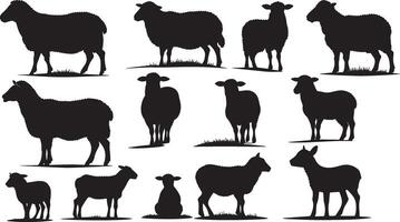 Set of a Sheep silhouette vector