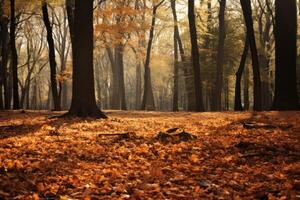 AI generated Peaceful forest with a carpet of fallen leaves in autumn. Generative AI photo