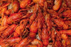 hervido cangrejo de río en un hierro lámina. hervido rojo cangrejo de río antecedentes para menú. parte superior vista, cerca arriba foto. un plato de cocido cangrejo de río. hervido cangrejo de río, un tradicional ruso plato. Clásico foto Procesando