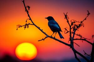 AI generated Silhouetted bird against a colorful sunset sky. Generative AI photo