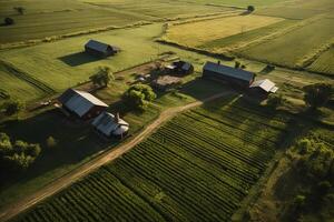 AI generated Drone view of well maintained farm practices. Generative AI photo