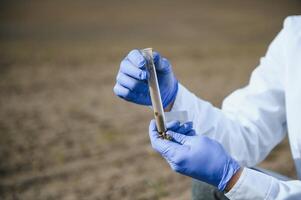 Laboratory worker holding professional glassware and testing black soil after harvest in the field photo