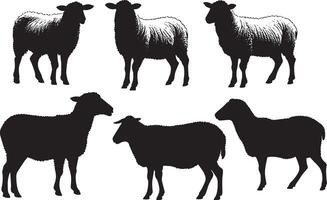 Set of a Sheep silhouette vector