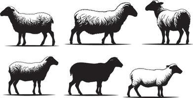 Set of a Sheep silhouette vector