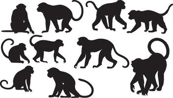 set of a monkey silhouette vector illustration