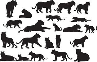 set of a tiger silhouette vector illustration