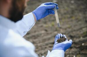 Laboratory worker holding professional glassware and testing black soil after harvest in the field photo