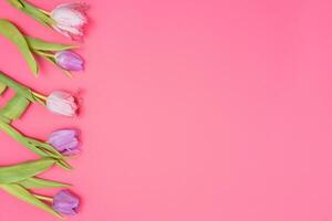 Floral background with tulips flowers on pink pastel background. Flat lay, top view. Woman day background. photo