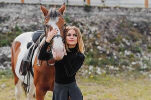 joven mujer fisioterapeuta tomando cuidado un marrón caballo. mujer haciendo un tratamiento en el hombro, cresta, frente, bozal y barbilla ranura. foto